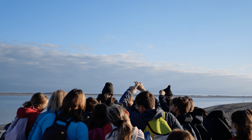 Sortie scolaire collège baie de somme